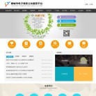 桐城市电子商务公共服务平台缩略图
