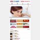 广东正度网络科技缩略图