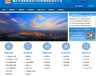 重庆国税12366纳税服务综合平台缩略图