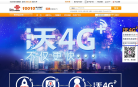 中国联通双4G专区缩略图