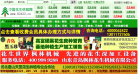 中国花生信息网缩略图