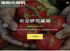 洛阳元商机网络技术缩略图