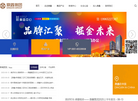 安徽鼎鑫投资集团缩略图