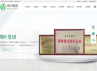 安徽鸿叶集团缩略图