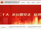 安徽省徽商物流缩略图