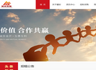 安徽耀安投资集团缩略图