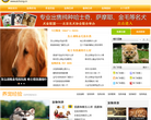 爱宠网缩略图