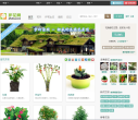 花卉网缩略图