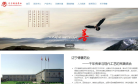 辽宁德善缩略图