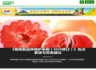 亚洲水果中文网站缩略图