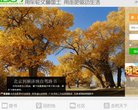 走吧网缩略图