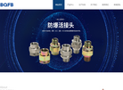 乐清市百全防爆电气缩略图