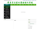 青岛百伦星外国语培训学校缩略图