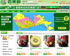 网上百果园缩略图