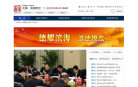 天津滨海新区政务网缩略图