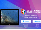 天津珊瑚信息科技缩略图
