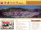 凤县文化馆缩略图