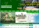 四川亮剑企业管理顾问缩略图