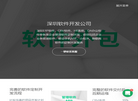 深圳软件开发公司缩略图