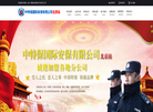 中特保国际安保缩略图