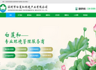 深圳市白莲和环境产业缩略图