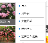 btchina电影联盟缩略图