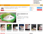 阿邦网仓鼠缩略图