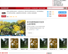 阿邦网职业规划专栏缩略图