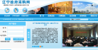 辽宁政府采购网缩略图