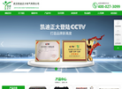武汉凯迪正大电气缩略图