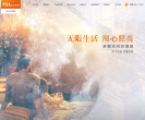 佛山照明缩略图