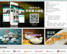 中国和田玉网缩略图