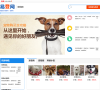 易登分类信息网宠物频道缩略图