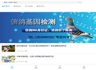 尊贵赛鸽网缩略图