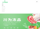 川为供应链信息技术缩略图
