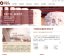 中金公司缩略图