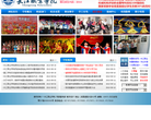 长江职业学院(官方网站)缩略图