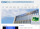 江苏世纪新城投资控股集团缩略图