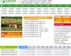 中国鸡蛋网缩略图