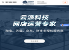 南京云派信息科技缩略图