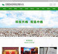 中棉种业缩略图