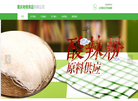 重庆老根食品缩略图