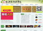 重庆市医药经贸学校—首页缩略图