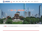 长沙市天心国资经营集团缩略图