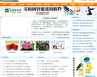 网页制作大宝库缩略图