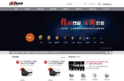 大华股份缩略图