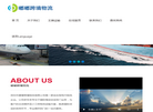 深圳市嘟嘟跨境物流缩略图