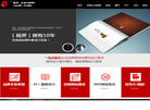 东莞市视界企业形象策划缩略图