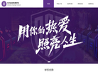 上海东方星光学校缩略图