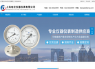 上海电仪仪器仪表缩略图